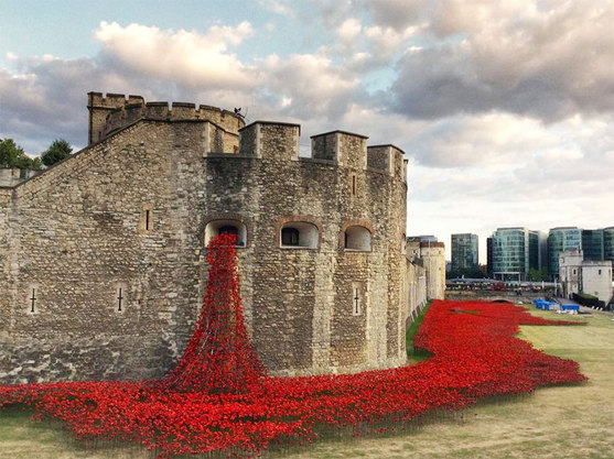 Tower of London poppies installation