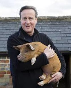Cameron and pig